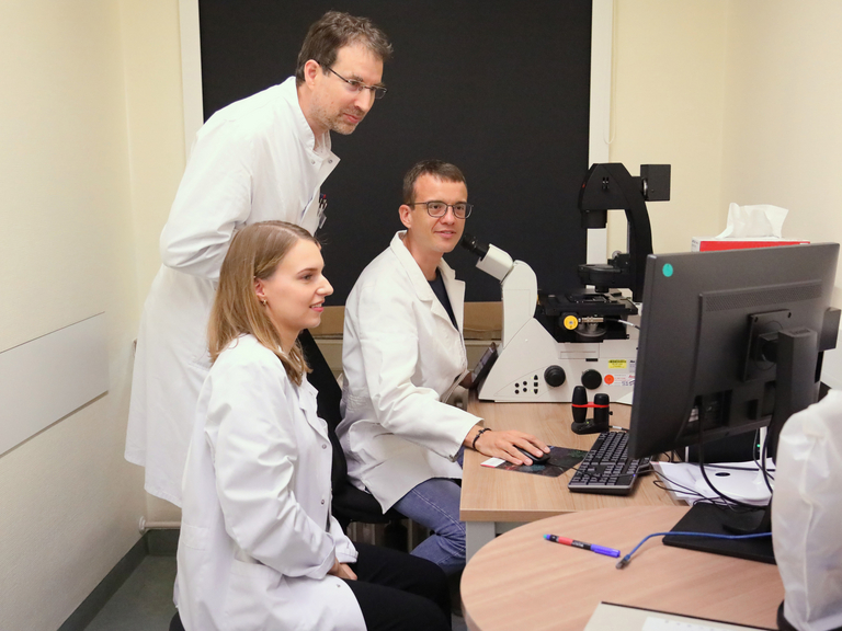 Ärztin und Ärzte schauen auf Monitor - Zentrum für Nerven- und Muskelerkrankungen Ost-Brandenburg (ZENOB) Ärztin und Ärzte schauen auf Monitor - Zentrum für Nerven- und Muskelerkrankungen Ost-Brandenburg (ZENOB)